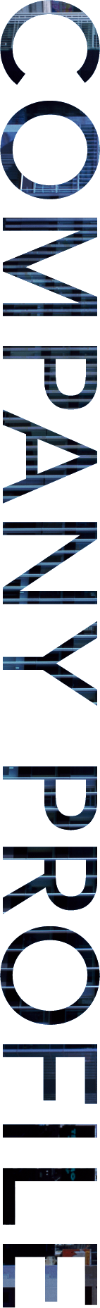 COMPANY PROFILE